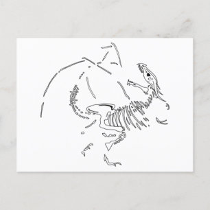Postal Dragon Fossils