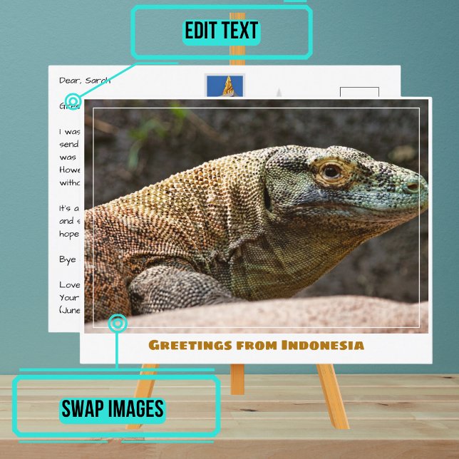 Postal Dragón Komodo de la Indonesia moderna (Share your experiences with these stylish template postcards.)