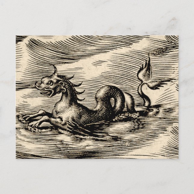 Postal Dragón marino en el Ecuador (Anverso)