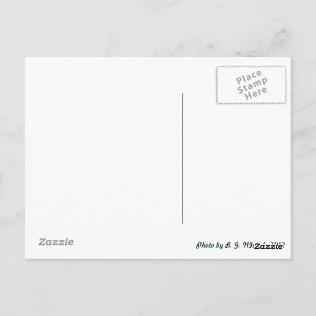 Postal Dragón metalizado (Reverso)