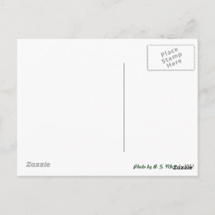 Postal Dragón metalizado