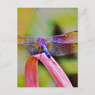 Postal Dragón rosa arcoiris brillante