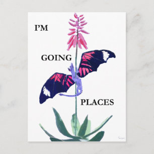 Postal Dragón y Cactus