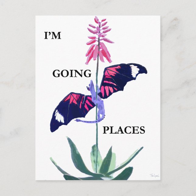 Postal Dragón y Cactus (Anverso)