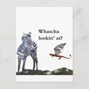 Postal Dragón y cebra