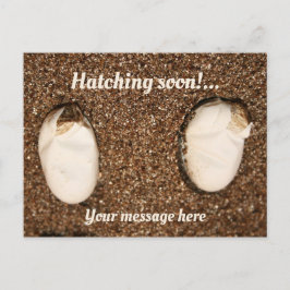 Postal ¡Dragones Con Cabeza De Bebé Hatchando!