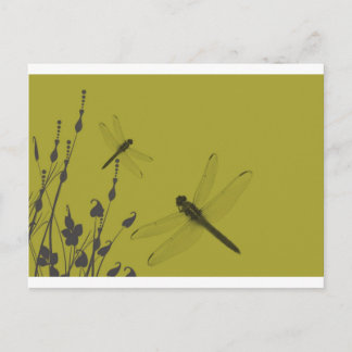 Postal Dragonflies in the Grass