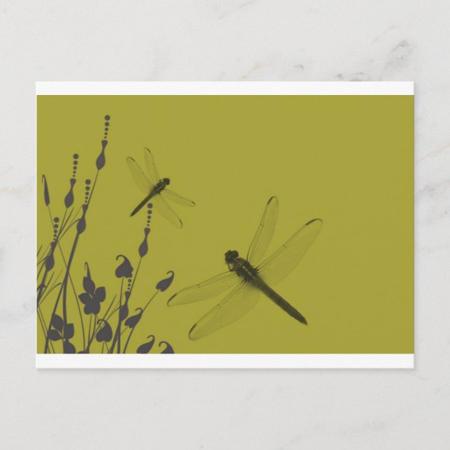 Postal Dragonflies in the Grass (Anverso)