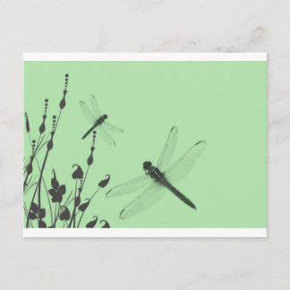 Postal Dragonflies in the Grass
