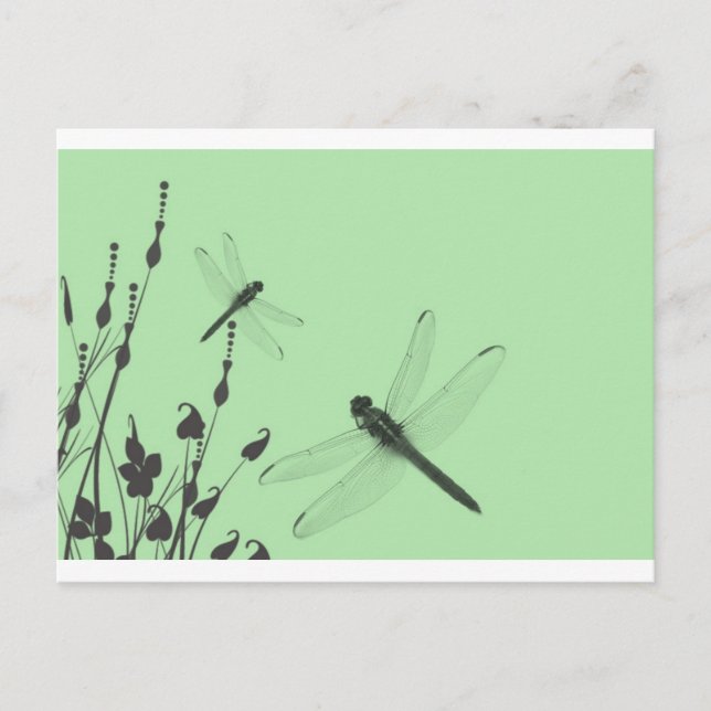 Postal Dragonflies in the Grass (Anverso)