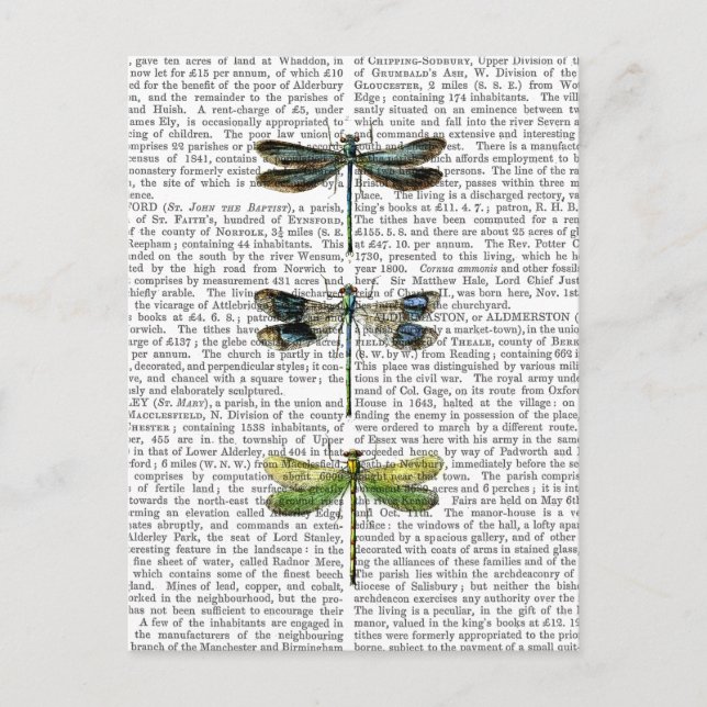 Postal Dragonflies Print 3 (Anverso)