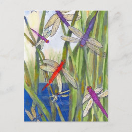 Postal Dragonflies Summer