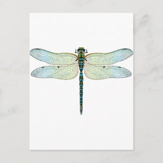 Postal DragonFly