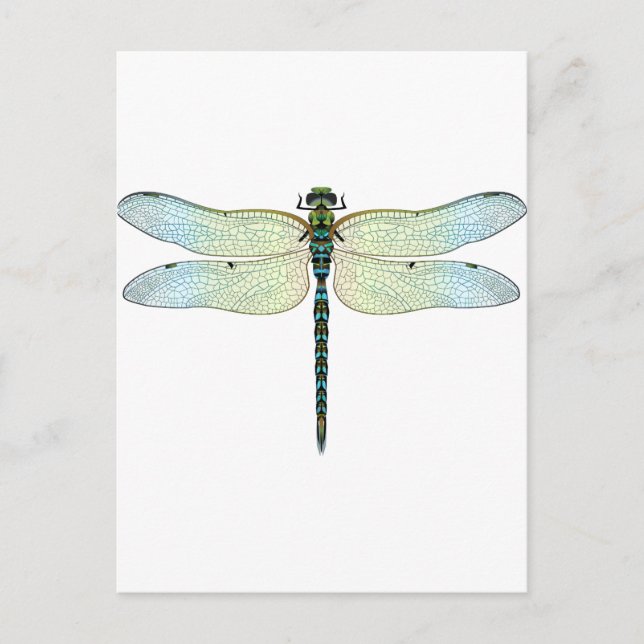 Postal DragonFly (Anverso)