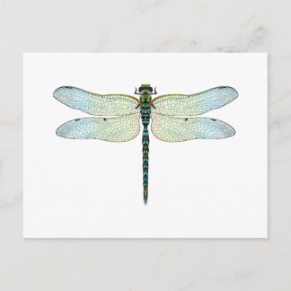 Postal DragonFly