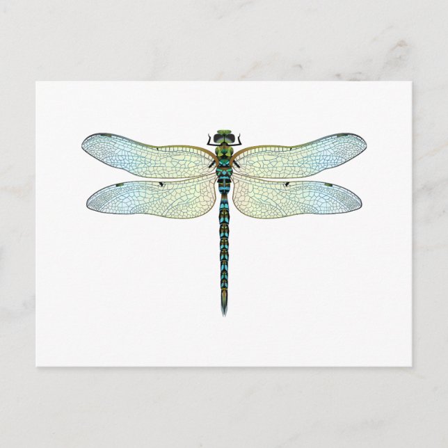 Postal DragonFly (Anverso)