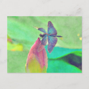 Postal Dragonfly azul irlandés sobre el agua