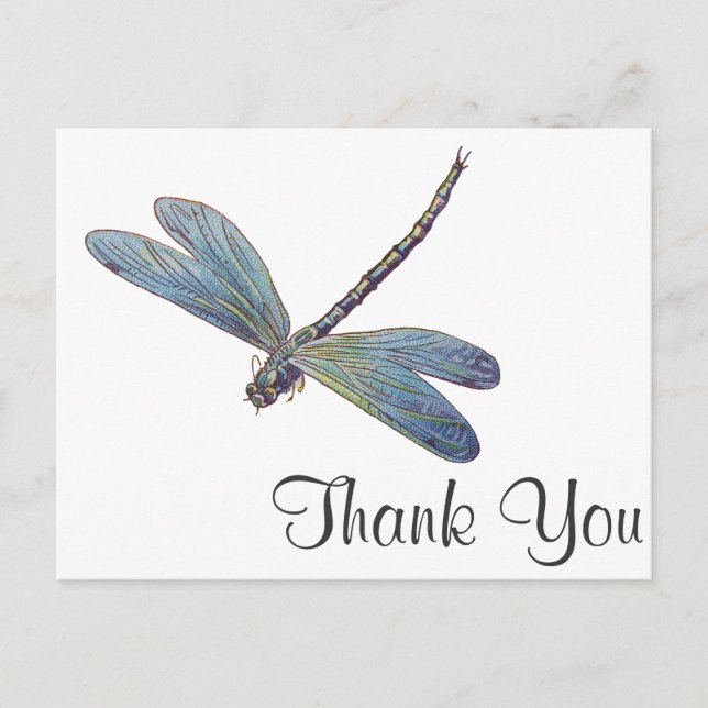 Postal Dragonfly azul vintage (Anverso)