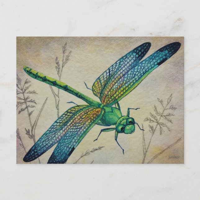 Postal Dragonfly de época No. 3 y arte acuático de hierba (Anverso)