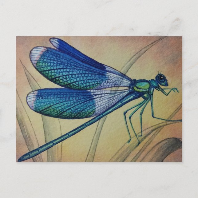 Postal Dragonfly de época No. 5 y arte acuático de hierba (Anverso)