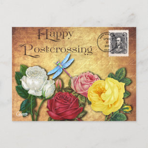 Postal Dragonfly de post-travesía - Postcard