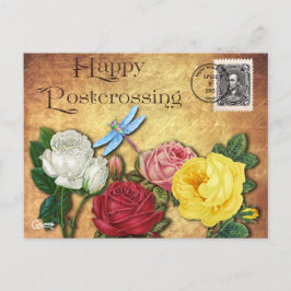 Postal Dragonfly de post-travesía - Postcard