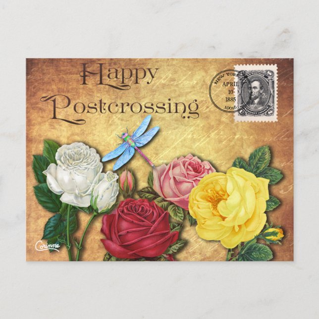 Postal Dragonfly de post-travesía - Postcard (Anverso)