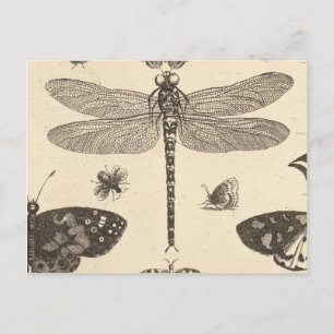 Postal Dragonfly ( detalle ) Arte vintage