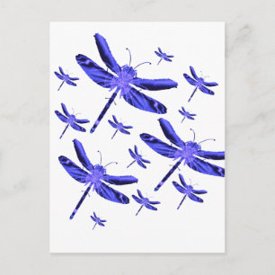 Postal Dragonfly Dragonflies