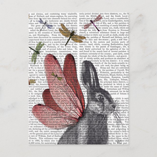 Postal Dragonfly Hare (Anverso)