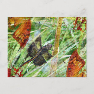 Postal Dragonfly, huye