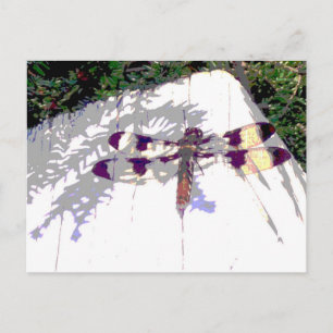 Postal Dragonfly localizado