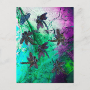 Postal Dragonfly Magic