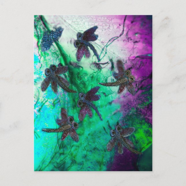 Postal Dragonfly Magic (Anverso)
