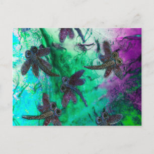 Postal Dragonfly Magic