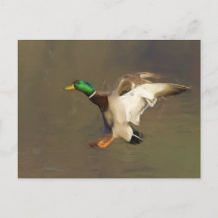 Postal Drake de aterrizaje