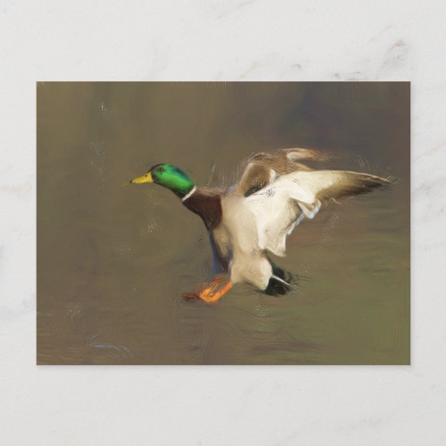 Postal Drake de aterrizaje (Anverso)