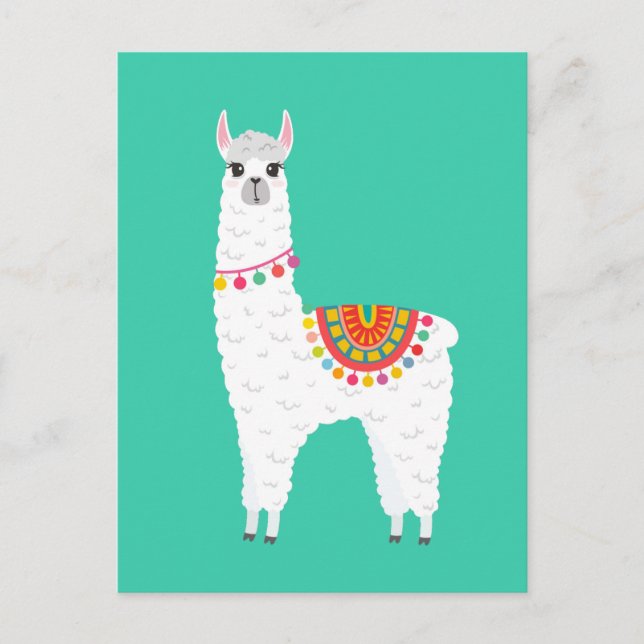 Postal Drama de llama de los graciosos Alpaca lindo anima (Anverso)