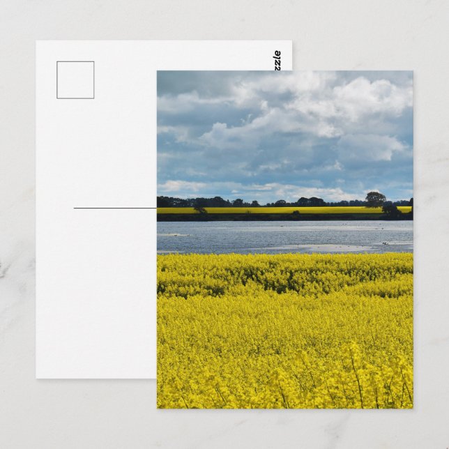 Postal Dramática belleza de Streatham (Anverso / Reverso)