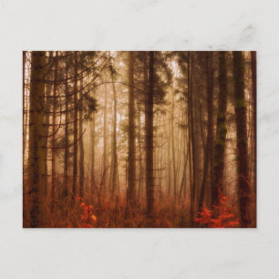 Postal Dramático bosque nublado rojo de invierno sin niev