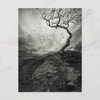 Postal Dramático cielo sobre el viejo árbol solitario