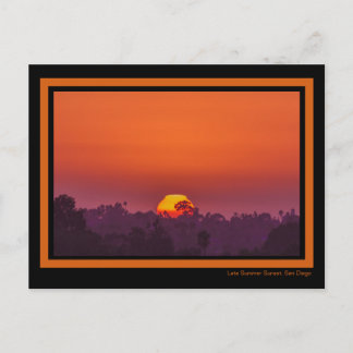 Postal Dramático Naranja Sunset Palm Tree Sun verano rosa