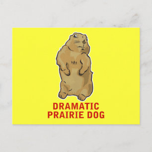 Postal Dramático Perro Prairie