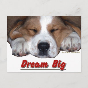 Postal Dream Big Dog