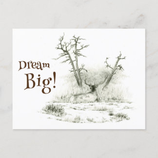 Postal Dream Big Elk Postcross