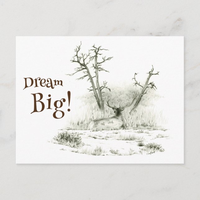 Postal Dream Big Elk Postcross (Anverso)