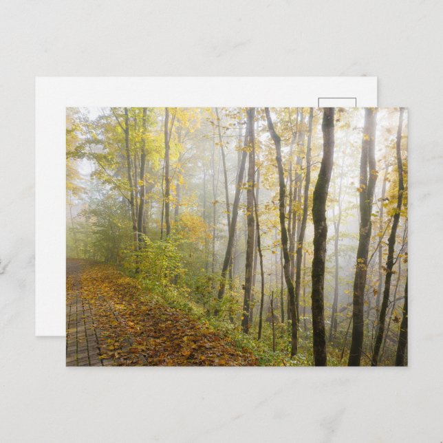 Postal Dreamy autumn park (Anverso / Reverso)