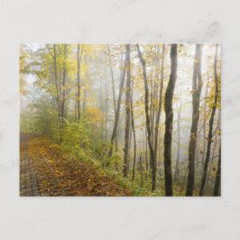 Postal Dreamy autumn park