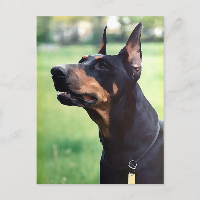 Postal Dreamy Doberman Pinscher Face Painting (Anverso)