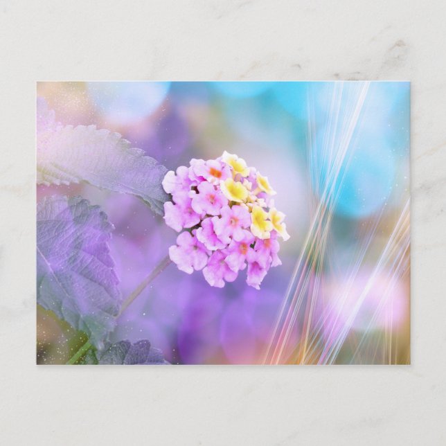 Postal Dreamy Flower (Anverso)